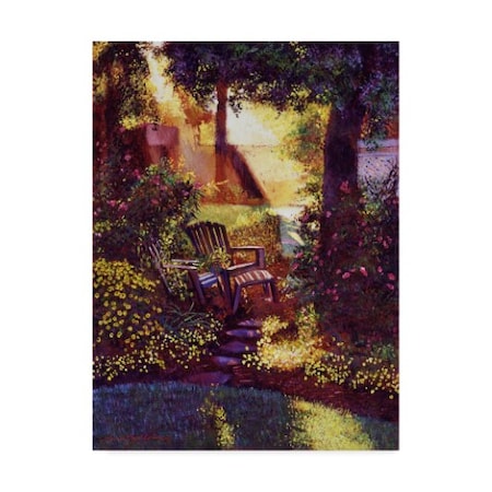 David Lloyd Glover 'Sunshine Garden' Canvas Art,14x19